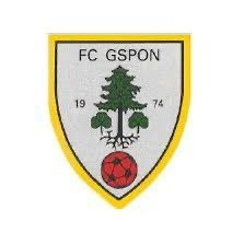 FC Gspon Frauen